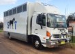 Hino Horse Truck